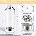 Aizoe Straw Dispenser for Standard Size Drinking Straws, Acrylic Plastic Straw Holder for Counter with Lid